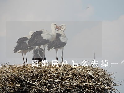 离婚房产怎么去掉一个人名字 离婚房产怎么去掉一个人名字