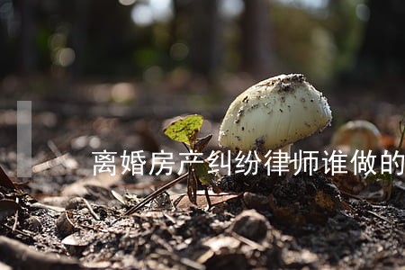 离婚房产纠纷律师谁做的好 离婚房产纠纷律师谁做的好