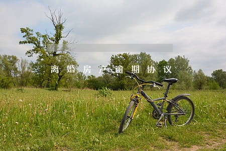 离婚房产逾期协议 离婚房产逾期协议