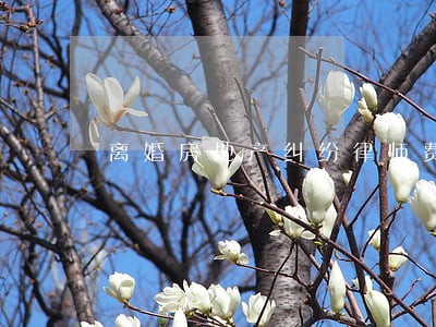 离婚房地产纠纷律师费用 离婚房地产纠纷律师费用