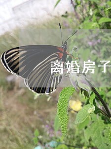 离婚房子一人一套怎么处理 离婚房子一人一套怎么处理