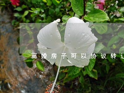 离婚房子可以协议转让吗 离婚房子可以协议转让吗