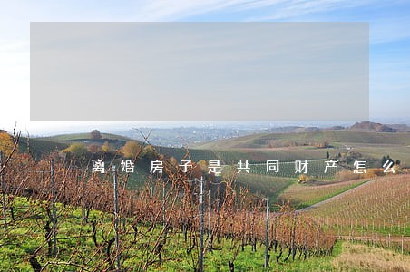 离婚房子是共同财产怎么住 离婚房子是共同财产怎么住