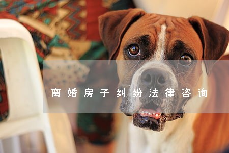 离婚房子纠纷法律咨询 离婚房子纠纷法律咨询