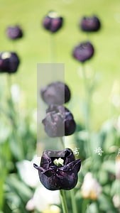离婚房子赠予协议怎么写 离婚房子赠予协议怎么写