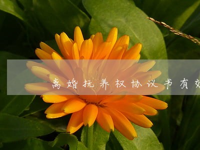 离婚抚养权协议书有效吗 离婚抚养权协议书有效吗