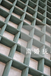 离婚抚养权协议规定 离婚抚养权协议规定