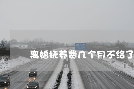 离婚抚养费几个月不给了 离婚抚养费几个月不给了