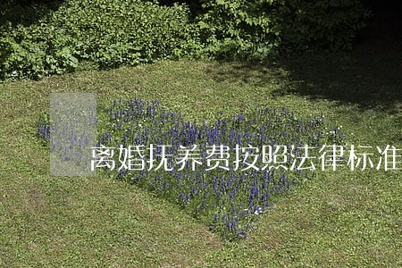 离婚抚养费按照法律标准 离婚抚养费按照法律标准