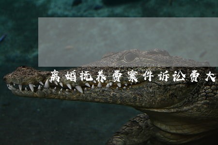 离婚抚养费案件诉讼费大概有多少 离婚抚养费案件诉讼费大概有多少