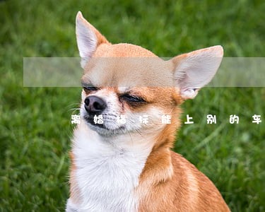 离婚指标能上别的车上吗 离婚指标能上别的车上吗