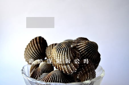 离婚提起诉讼吗 离婚提起诉讼吗