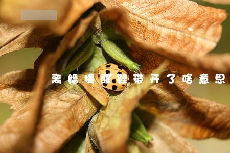 离婚提醒鞋带开了啥意思