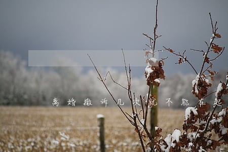 离婚撤诉几次就不能在起诉了 离婚撤诉几次就不能在起诉了