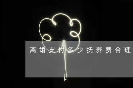 离婚支付多少抚养费合理 离婚支付多少抚养费合理
