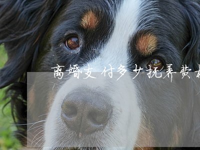离婚支付多少抚养费标准 离婚支付多少抚养费标准