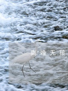 离婚无孩男能接受离婚女吗 离婚无孩男能接受离婚女吗