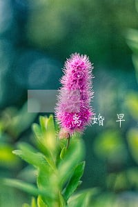 离婚早上能办吗 离婚早上能办吗