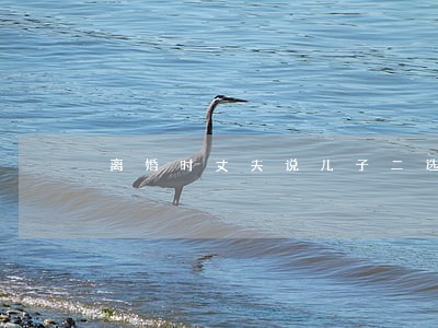 离婚时丈夫说儿子二选一 离婚时丈夫说儿子二选一