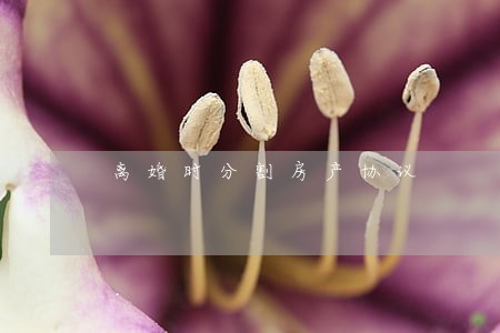 离婚时分割房产协议 离婚时分割房产协议