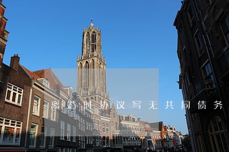 离婚时协议写无共同债务 离婚时协议写无共同债务