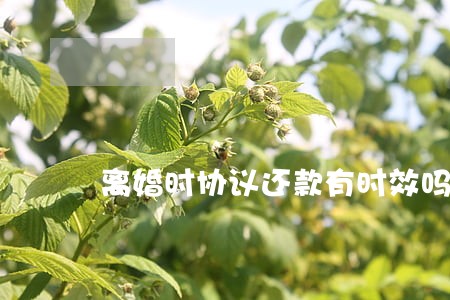离婚时协议还款有时效吗 离婚时协议还款有时效吗