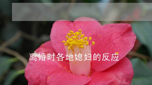 离婚时各地媳妇的反应
