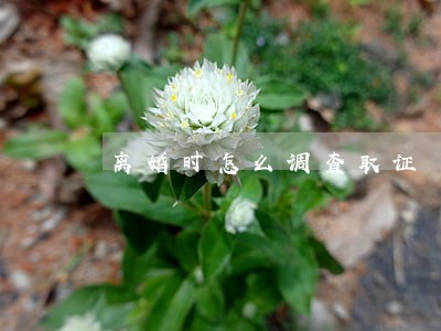 离婚时怎么调查取证