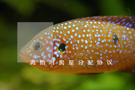 离婚时房屋分配协议 离婚时房屋分配协议