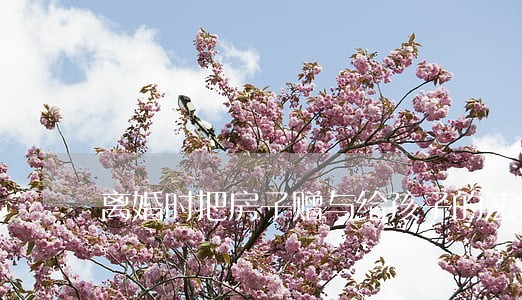 离婚时把房子赠与给孩子的法律规定 离婚时把房子赠与给孩子的法律规定