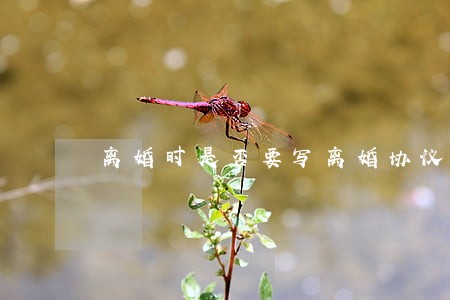 离婚时是否要写离婚协议 离婚时是否要写离婚协议