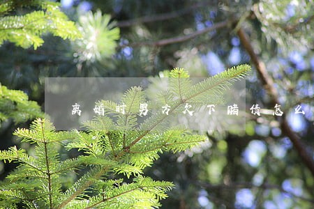 离婚时男方欠下赌债怎么办 离婚时男方欠下赌债怎么办