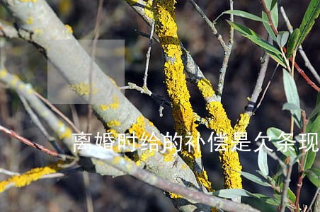 离婚时给的补偿是欠条现该怎么要 离婚时给的补偿是欠条现该怎么要