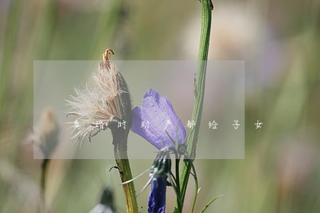 离婚时财产都给子女