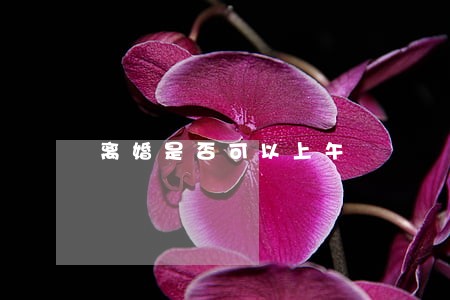 离婚是否可以上午
