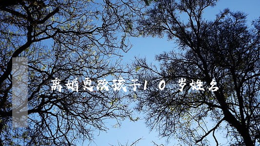 离婚更改孩子10岁姓名 离婚更改孩子10岁姓名