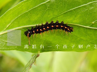 离婚有一个孩子财产怎么分男女 离婚有一个孩子财产怎么分男女