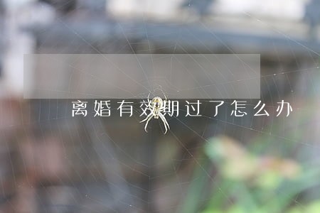 离婚有效期过了怎么办 离婚有效期过了怎么办