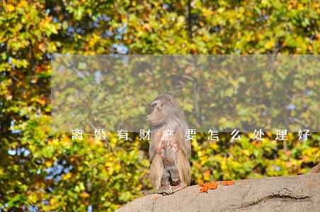 离婚有财产要怎么处理好 离婚有财产要怎么处理好
