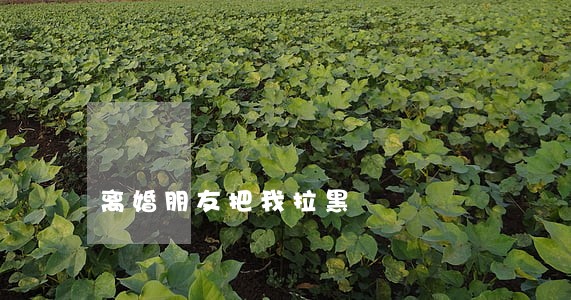 离婚朋友把我拉黑 离婚朋友把我拉黑