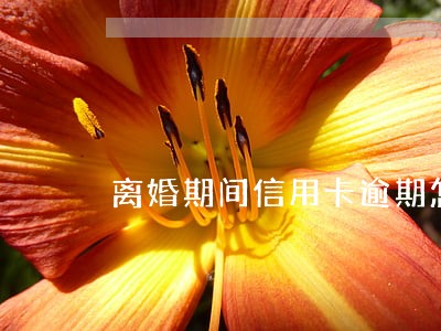 离婚期间信用卡逾期怎么解决 离婚期间信用卡逾期怎么解决