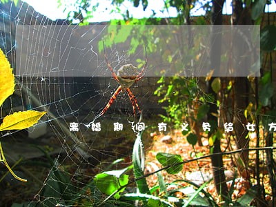 离婚期间有义务给女方生活费吗 离婚期间有义务给女方生活费吗
