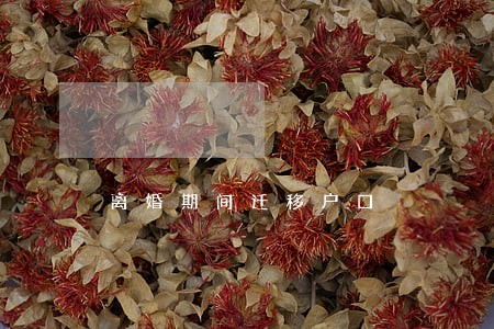 离婚期间迁移户口 离婚期间迁移户口
