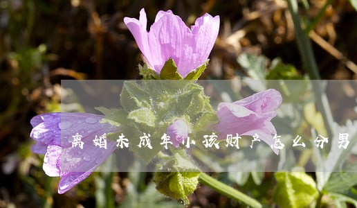 离婚未成年小孩财产怎么分男女 离婚未成年小孩财产怎么分男女