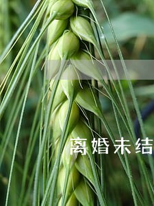 离婚未结可登记为未婚吗 离婚未结可登记为未婚吗