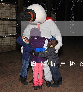 离婚析产协议书 离婚析产协议书