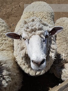 离婚案件办理法律咨询 离婚案件办理法律咨询
