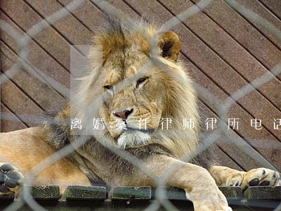 离婚案件律师律所电话 离婚案件律师律所电话
