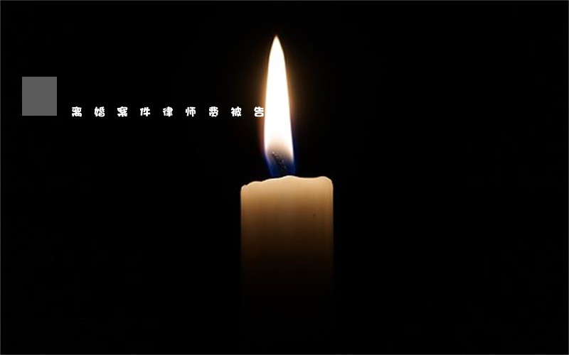 离婚案件律师费被告出 离婚案件律师费被告出