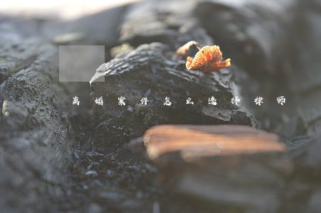 离婚案件怎么选择律师 离婚案件怎么选择律师
